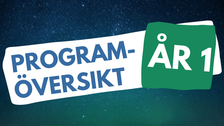 Programöversikt: Årskurs 1