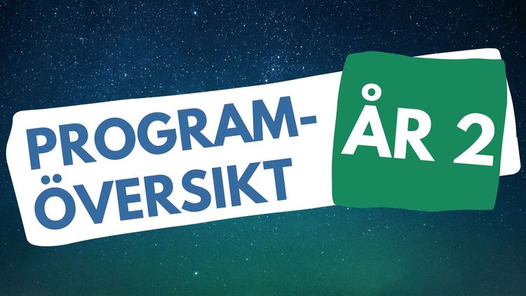 Programöversikt: Årskurs 2